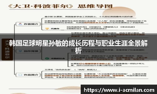 韩国足球明星孙敏的成长历程与职业生涯全景解析